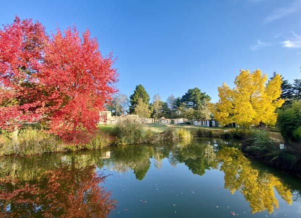 Les Jardins de l'Anjou, Salle de réception / Espace événementiel, MAUGES-SUR-LOIRE, Pays de la Loire, France